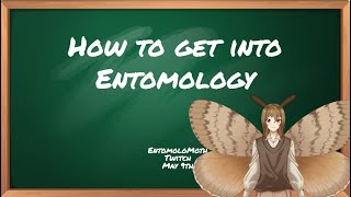 How to get into entomology A lecture about the hobby and the academic field [upl. by Ymmot]