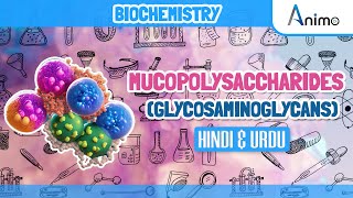 Mucopolysaccharides Glycosaminoglycans  Animation [upl. by Nitsed512]