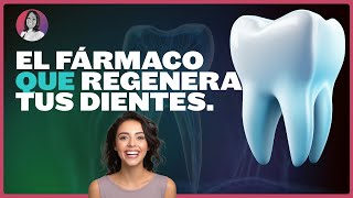 Dental Documentales  Descubre el Fármaco Japonés que Regenera Dientes Perdidos documental [upl. by Delbert]