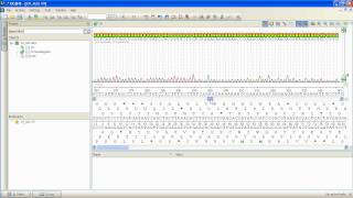 Unipro UGENE podcast 16 Using UGENE as chromatograms viewer and editor [upl. by Anitap]