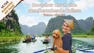 Bootstoure durch eine atemberaubende Kulisse ● Vietnam ● Ninh Binh ● Vlog 66 [upl. by Ikkaj]