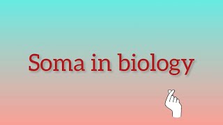 What is Soma in biology [upl. by Crescint]