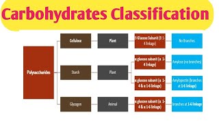 Carbohydrates Classification Clinical significance of different carbohydrates [upl. by Taylor614]