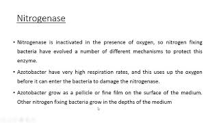 Isolation of Azotobacter from soil [upl. by Nitza]