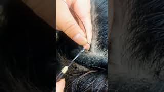 Quick Installation guide for cotton thread with Mejor Milagros wholesale Hair extension [upl. by Hearn]