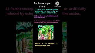 Parthenocarpic Fruit ytshorts tgtpgtexam medicaltet [upl. by Daj753]