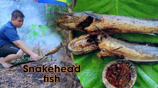 Swamp Serenity Traditional Snakehead Fishing and Grilled Delights  Rainy days [upl. by Nairrod]