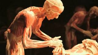 Gunther von Hagens BODY WORLDS Vital at Life Science Centre Newcastle UK [upl. by Llenroc]