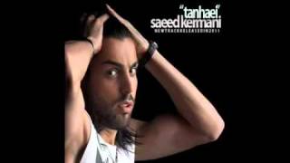 Saeed Kermani Ft Mehdi Saee  Tanhaei 2011 [upl. by Ahsitniuq]