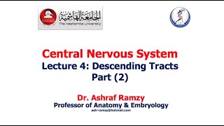 Lecture 4  Descending Tracts Part 2  CNS [upl. by Osborne]