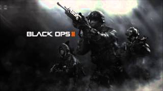 Black Ops 2 Seals Theme Extended [upl. by Slohcin]