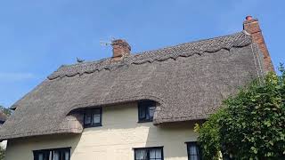 ARKESDEN VILLAGE WALK ENGLISH COUNTRYSIDE [upl. by Ylenaj]