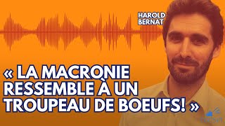 Entretien explosif  Harold Bernat détruit la Macronie sur le fond et sur la forme [upl. by Ireg]