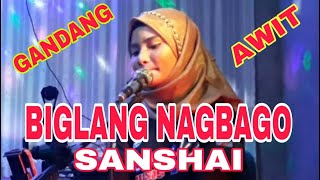 BIGLANG NAGBAGO  Sanshai  Composed By Hamier MSendad [upl. by Nie]