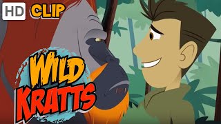 Wild Kratts  Orangutan Approved [upl. by Deborah]