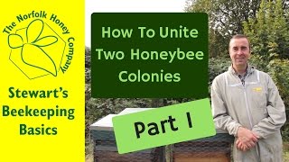 How to Unite Two Honeybee Colonies  Part One Beekeeping Basics  The Norfolk Honey Co [upl. by Nnylakcaj148]