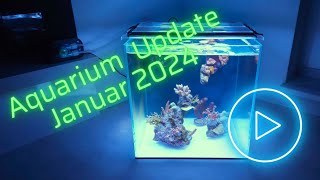 UNS Cube Nano Aquarium Update Januar 2024 [upl. by Enyaw474]