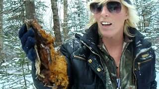 Harvesting Medicinal Chaga Mushroom LIKE 👍SUBSCRIBE✅ RING BELL🔔 SHARE💖 [upl. by Hardej]