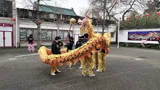 Virtual Dragon Dance by Hon Hsing Athletic Club 2022 [upl. by Norah201]