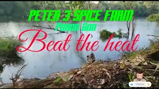 Peter 3 Spice Farm Khandepar Ponda Goa lovelyplace to handout in nature spice farm beattheheat [upl. by Nauaj]