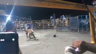 Jaripeo a pierna suelta en Santa María Zoquitlan el torneo de los 20 mil pesos [upl. by Ynamrej976]