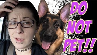 Taking my NERVOUS dog to petsmart  DO NOT PET [upl. by Aeslek]