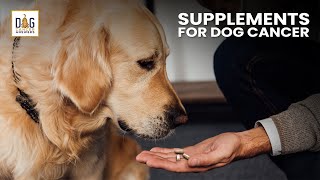 Supplements for Dogs with Cancer  Dr Demian Dressler Deep Dive [upl. by Allebram111]