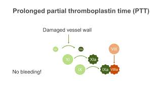 How to interpret a partial thromboplastin time PTT test [upl. by Ihsoyim]