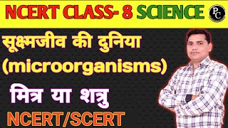 Microorganism Class 8 Friend and Foe Class 8 NCERT Science  सूक्ष्मजीव मित्र एव शत्रु [upl. by Ytineres]