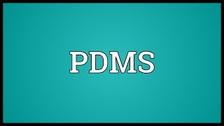 PDMS Meaning [upl. by Yrro81]