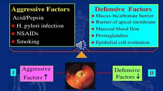 Peptic ulcer amp Antiemetics  Pharmacology 1  Gastrointestinal system [upl. by Derdlim273]