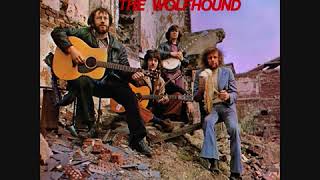 The Wolfhound Ray McAreavey  Freedom Sons  Full Album  Irish Rebel [upl. by Zonda]