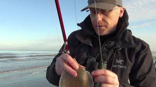 UK Sea Fishing  North Wales Winter Shore Fishing from a Beach for Flatfish [upl. by Rammaj]