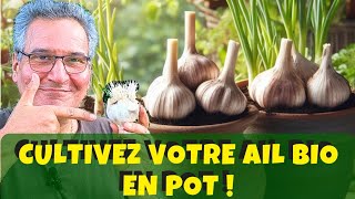 Conseils jardinage aloe vera arrosage et entretien Plante dintérieur [upl. by Irovi]