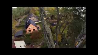 SKT Eichen Pflege mit der Go Pro Hero 3 dem ART Spider Jack und einer Stihl 201T Tree Care [upl. by Darbie]