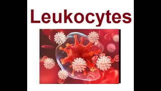 Leukocytes structure and functions  2024 [upl. by Baggott125]