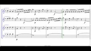 Papageno Papagena per Xilofono Vibrafono e Marimba PARTITURA GRATIS [upl. by Neelhtak]