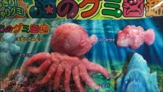 DIY Japanese Candy 012 Sea Creatures Gummy [upl. by Warder]