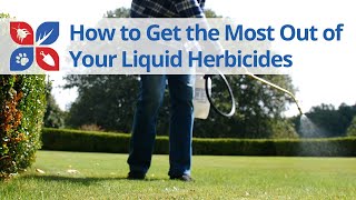 Liquid Herbicide Application Tips  DoMyOwncom [upl. by Asselim]