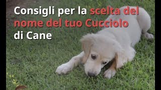 Nomi per Cani Consigli per scegliere il Nome del Tuo Cucciolo [upl. by Ymar761]