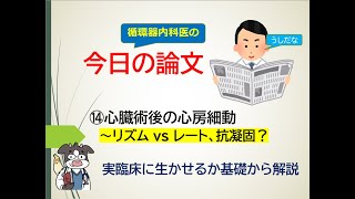 ⑭今日の論文～心臓術後の心房細動循環器内科医がお話します [upl. by Feinberg]