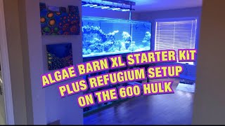 ALGAE BARN XL STARTER KIT  PLUS REFUGIUM SETUP TOGETHER ON THE HULK [upl. by Nevek317]