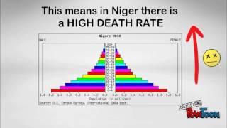 Population Pyramids Geography [upl. by Adiuqram392]