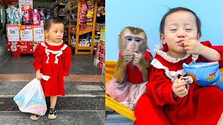 Diem went alone to the supermarket to buy food for Monkey Kaka and mom [upl. by Olette]