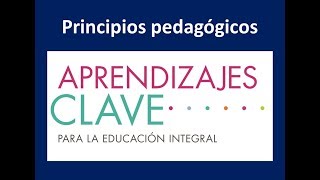 14 PRINCIPIOS PEDAGÓGICOS APRENDIZAJES CLAVE NUEVO MODELO EDUCATIVO [upl. by Elletnahc309]