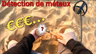 Je deviens riche en détection de métaux [upl. by Muffin134]