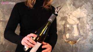 VinOice  tube rafraichisseur et bec verseur [upl. by Hillman]