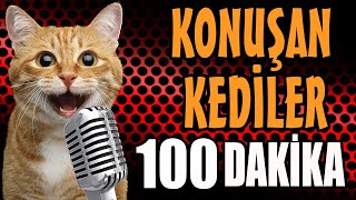 Konuşan Kediler 100 Dakika  Sinema Tadında En Komik Kedi Videoları [upl. by Cimah]