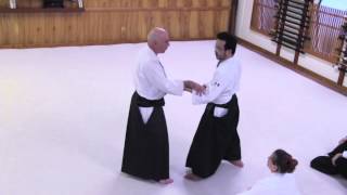 Aikido and Internal Power  William Gleason Sensei  Sample Clip [upl. by Dobrinsky126]