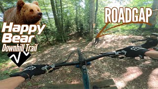 Happy Bear Trail│Sinaia Bike Park [upl. by Noseaj]